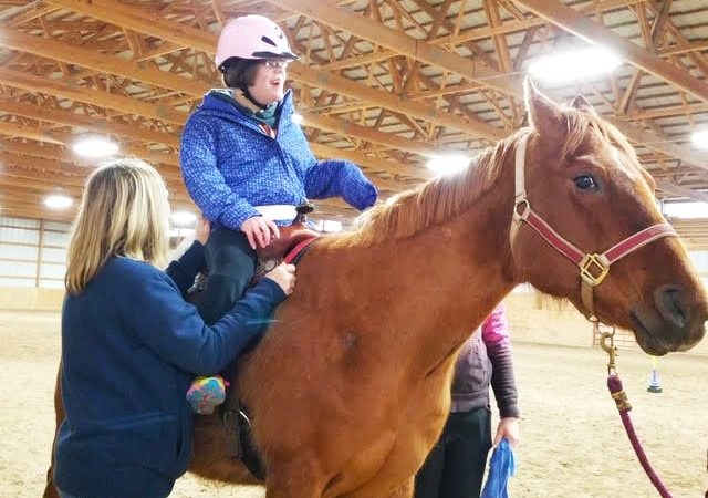 Effective Horse Training Techniques