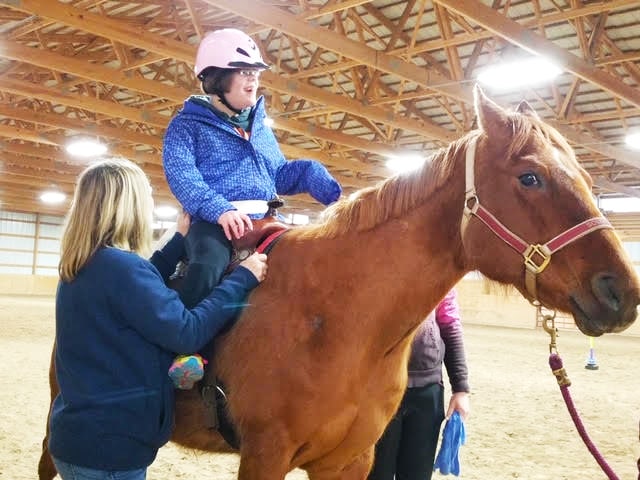 Effective Horse Training Techniques
