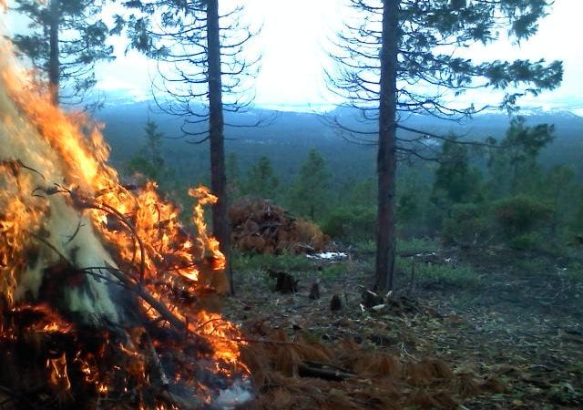 Largest Forest Fires